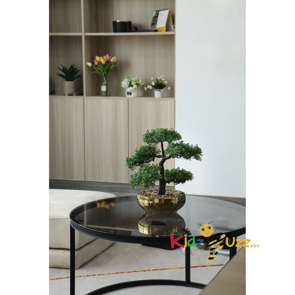 Athena Pot Plant, 38cm Height - Home Decorative Accessories