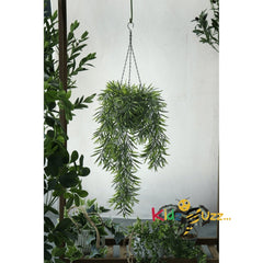 Gyasi Hanging Plant, total 84cm Height - Home Decorative Accessories