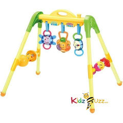 Fitness Frame Haunger For Infants