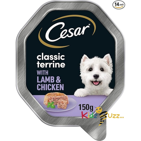 Cesar Classics Terrine - Wet Dog Food for Adult Dogs - Tray with Lamb and Chicken in Jelly - 14 x 150 g