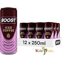 Boost Iced Coffee Mocha, 12 x 250 ml, Ready-To-Drink Cold Brew Coffee Drink, The Perfect Caffeine Boost, A Rich & Chocolately Blend of 100% Arabica and Robusta Beans with Cocoa and Milk - kidzbuzzz