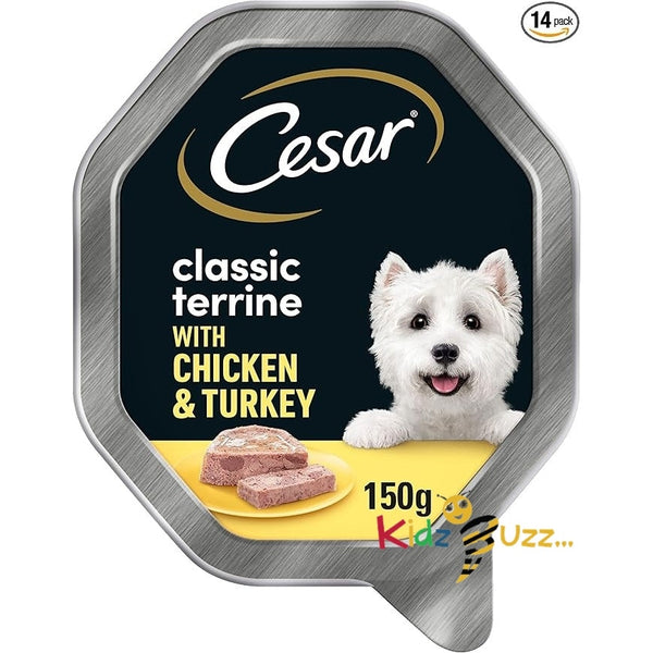 Cesar Classic Terrine in Jelly 14 Trays, Adult Premium Wet Dog Food, Chicken & Turkey, Pack of 2 7 x 150 g