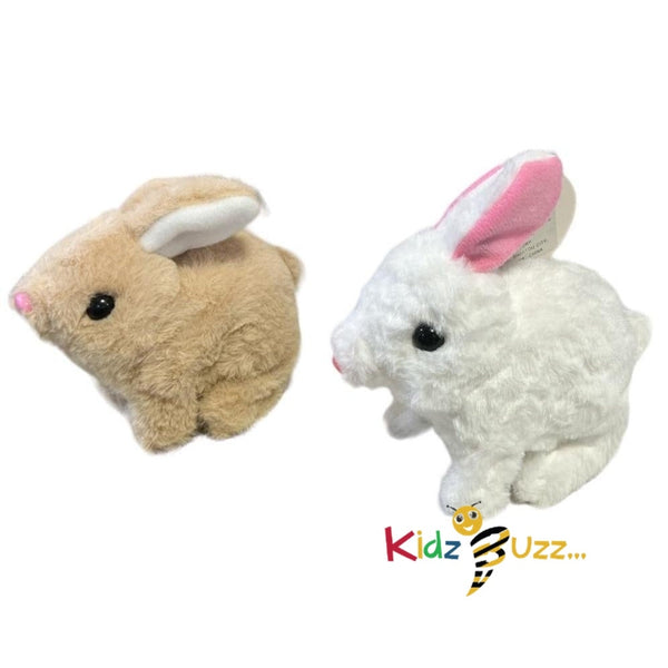 Cute Pet Rabbit Soft Toy For Kids