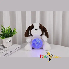 Charlie The Puppy With Light Soft Toy Magic Belly Bear