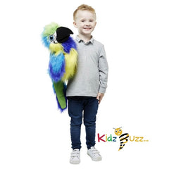 Large Birds Blue & Gold Macaw Soft Toy For Kids