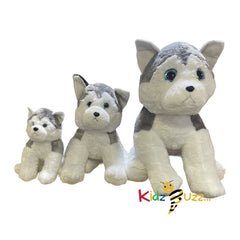 55cm Husky Soft Toy For Kids - Soft Plush Toy