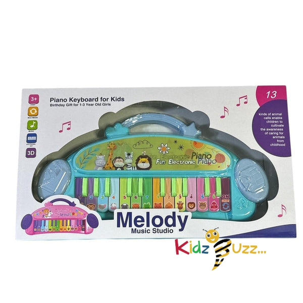 Mini Piano Keyboard Toy for Kids Multifunction Baby Musical Instrument Educational Toys for Boys and Girls