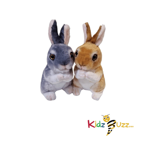 Rabbit 20cm Soft Toy