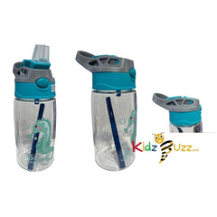 Water Bottle Sea Country Horse 480ml