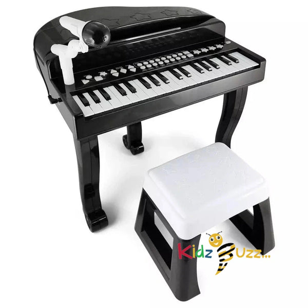 Chad Valley Grand Piano Sing Along Microphone