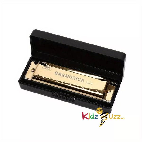 1pc 10 Hole Harmonica Musical Instrument For Beginner